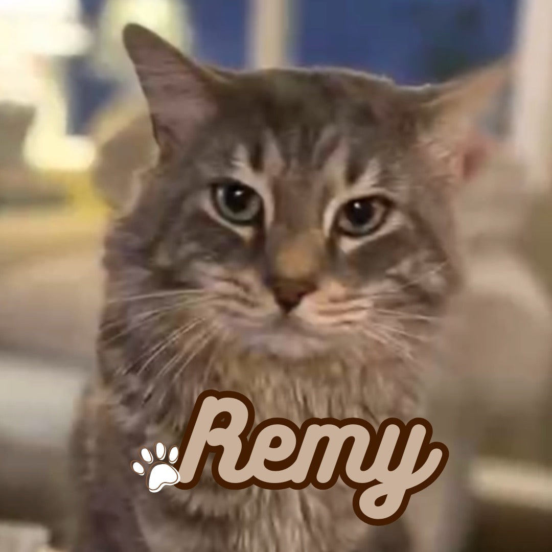 Personalized 220g T-shirt, single-sided customization, birthday gift, anniversary gift